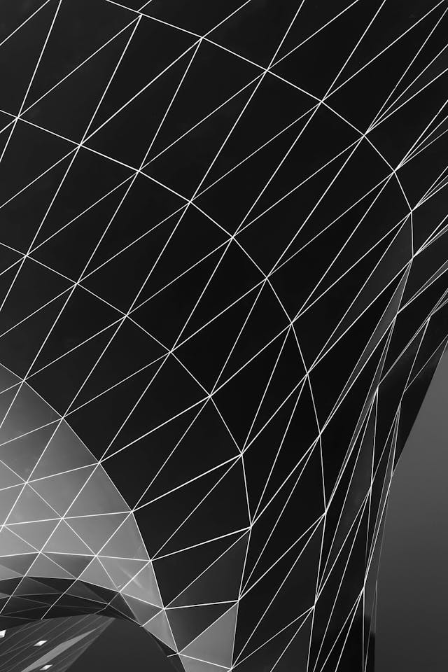 pexels-adrien-olichon-1257089-3137064 (1)
